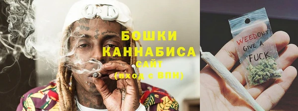 МДПВ Протвино