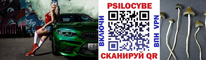 Галлюциногенные грибы мицелий  Бор 